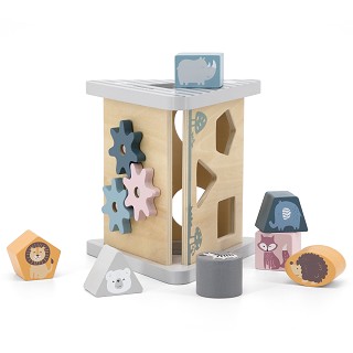 Shape sorter & gear play